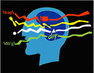 Graphic illustrating a brain processing language. Graphic illustrating a brain processing language.