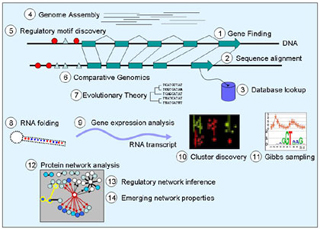 Challenges in Computational Biology Challenges in Computational Biology